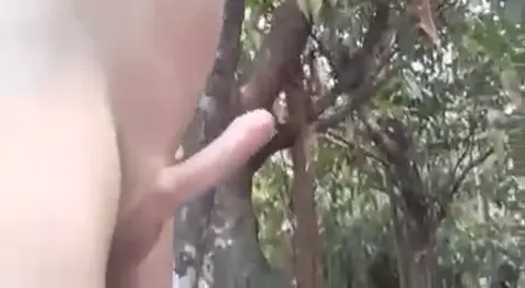 Premium Video 341