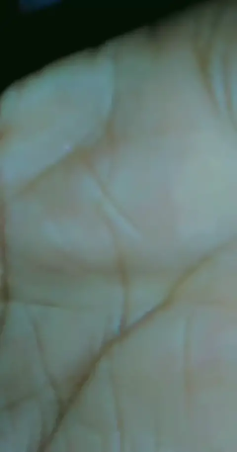 Premium Video 515